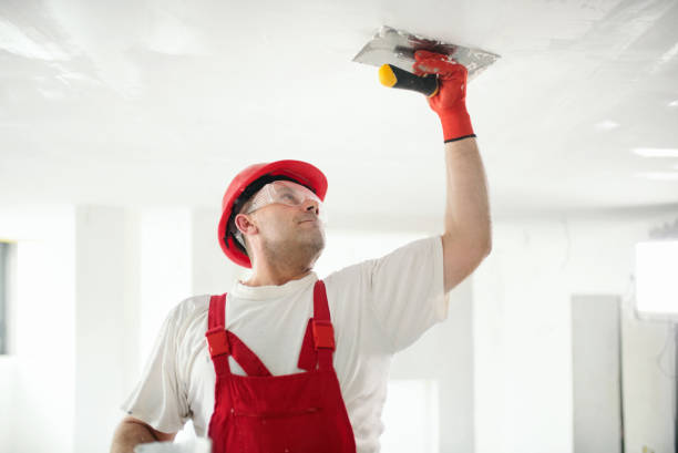 Best Ceiling Drywall Installation  in Highland City, FL