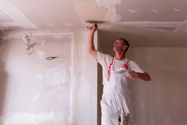 Best Drywall Sanding and Smoothing  in Highland City, FL